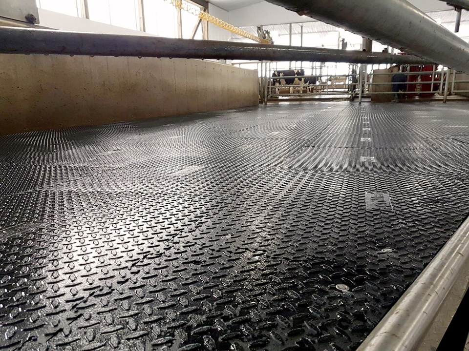 Legend Mats & Flooring Dairy Lane Systems Cow Comfort